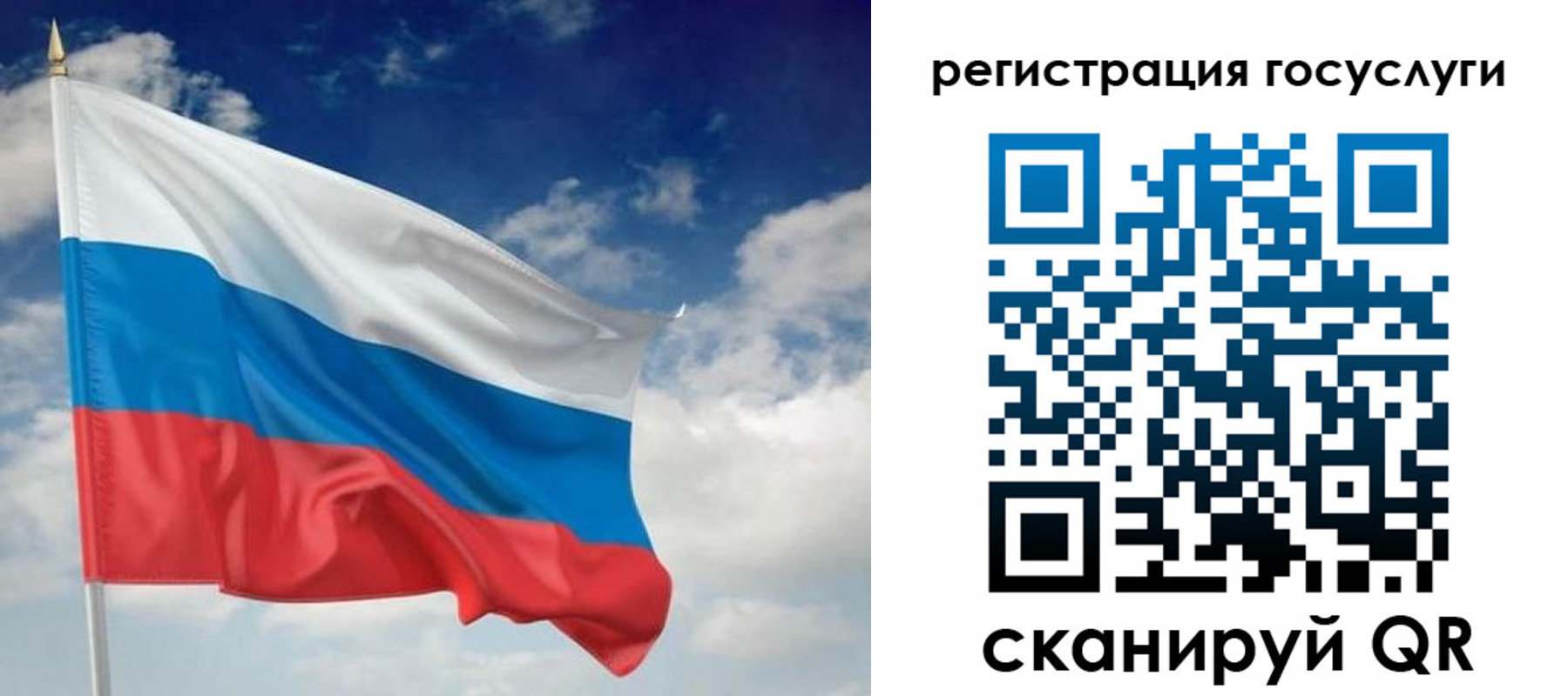 прописка гарантия в Ржеве